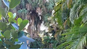 A patio area with a table and chairs, surrounded by lush greenery and a white fence. - Coastal Breezes -Walk to the Beach (Lantana)