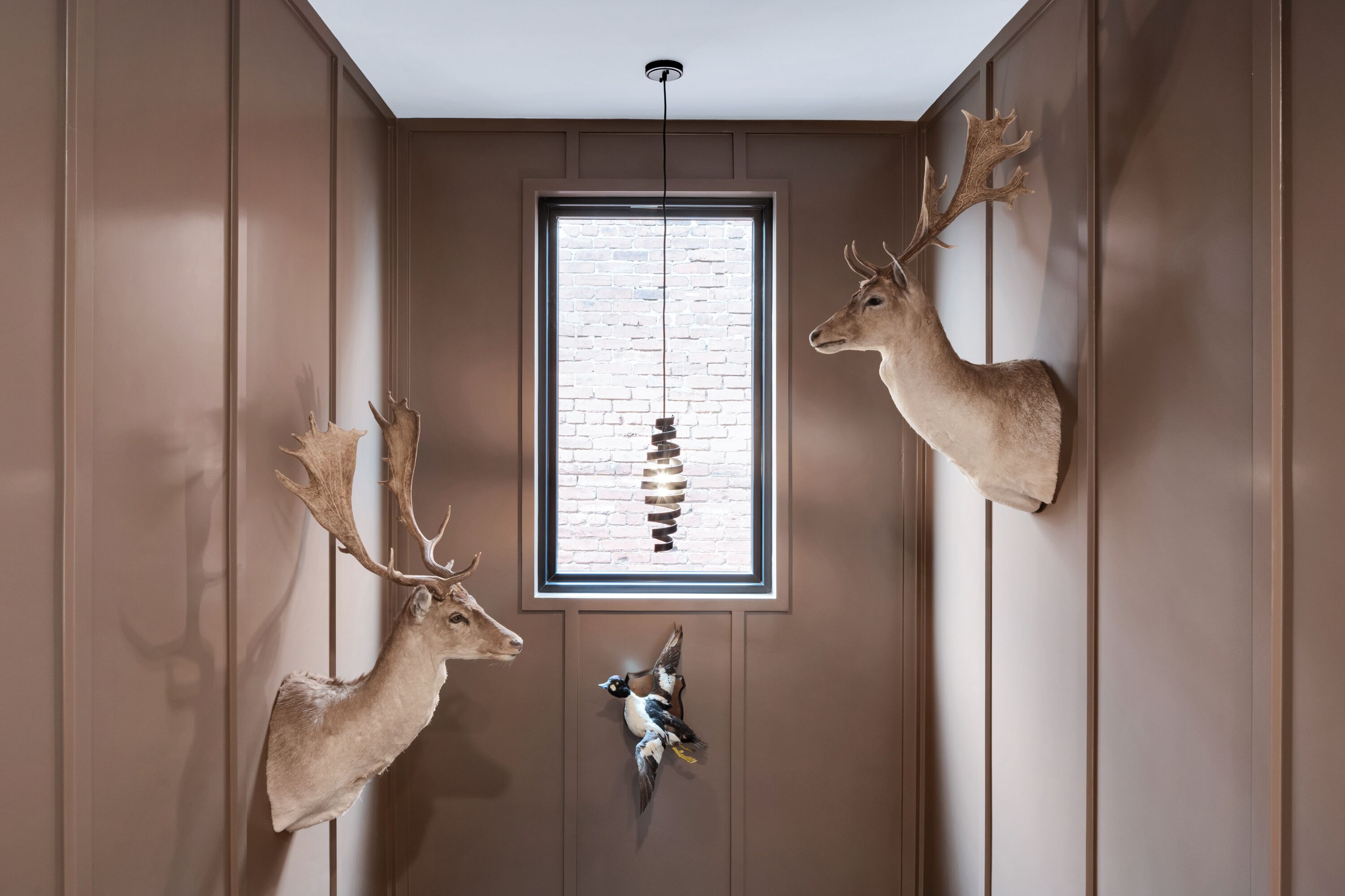 Quarto com uma grande janela, painéis de madeira e cabeças de animais penduradas.