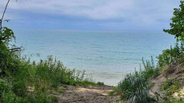 A sandy path leading to a body of water, surrounded by greenery.