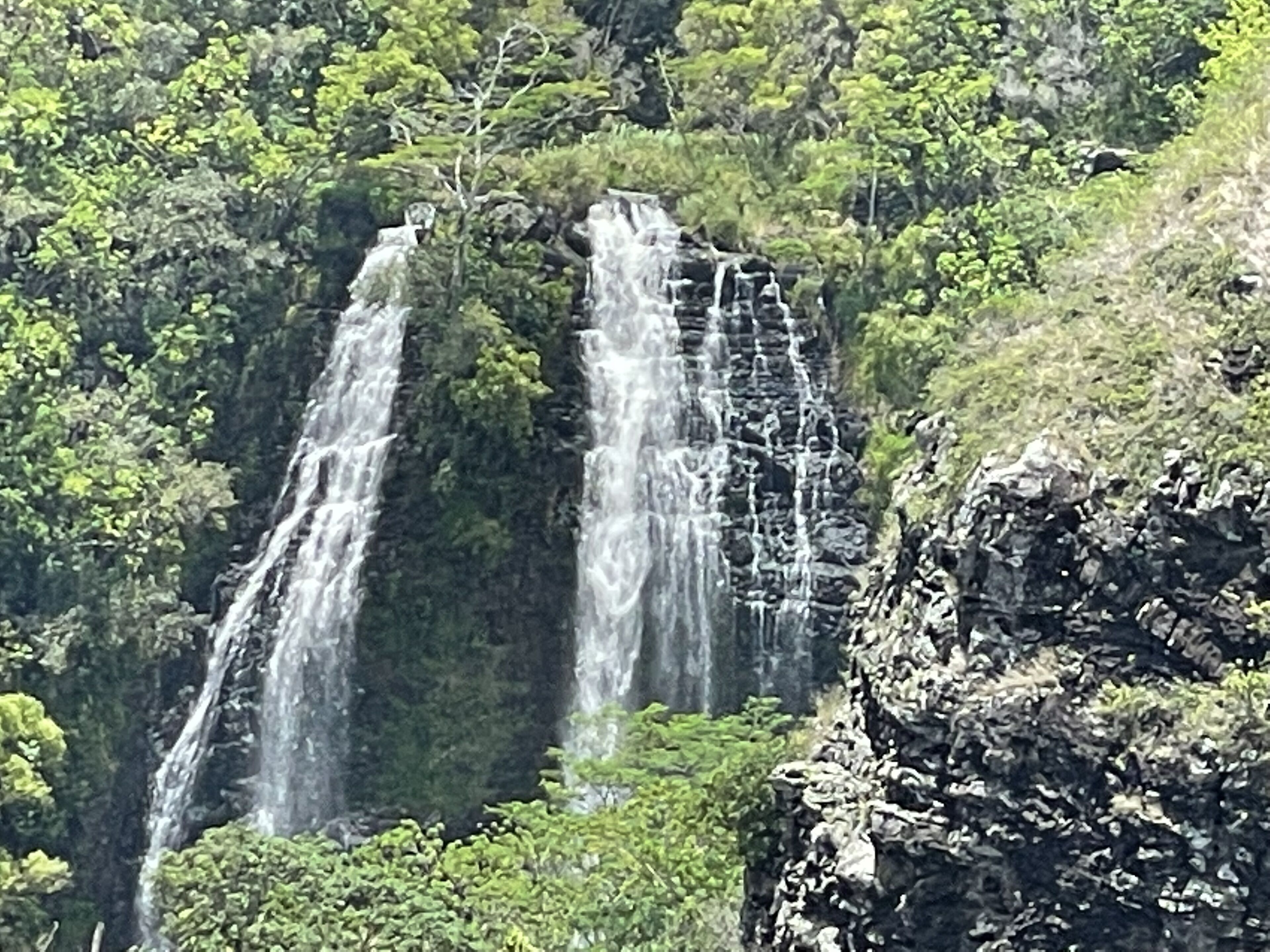 A waterfall cascading down a rocky cliff surrounded by dense greenery.