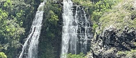 A waterfall cascading down a rocky cliff surrounded by dense greenery.