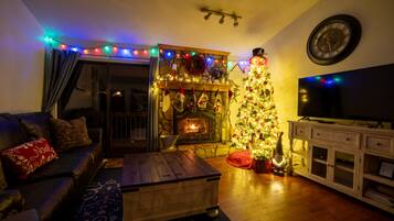 Smart TV, fireplace, video games, books