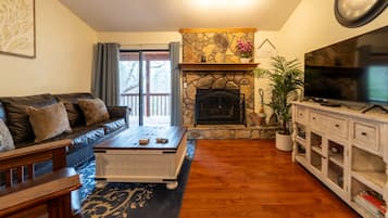 Smart TV, fireplace, video games, books