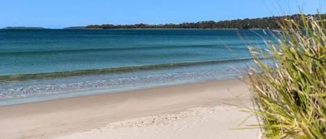 A beach with clear water, sandy shore, and a forested hill in the background.