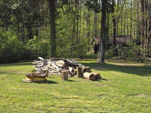 Property grounds - Charming House surrounded by woods, close to Windrock and Lake Norris (Rocky Top)