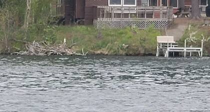 Cozy 2 Bedroom LAKE FRONT Cabin on Chetek Chain of Lakes, GREAT LOT & LOCATION!