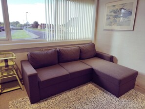 Smart TV, video game console, books, music library