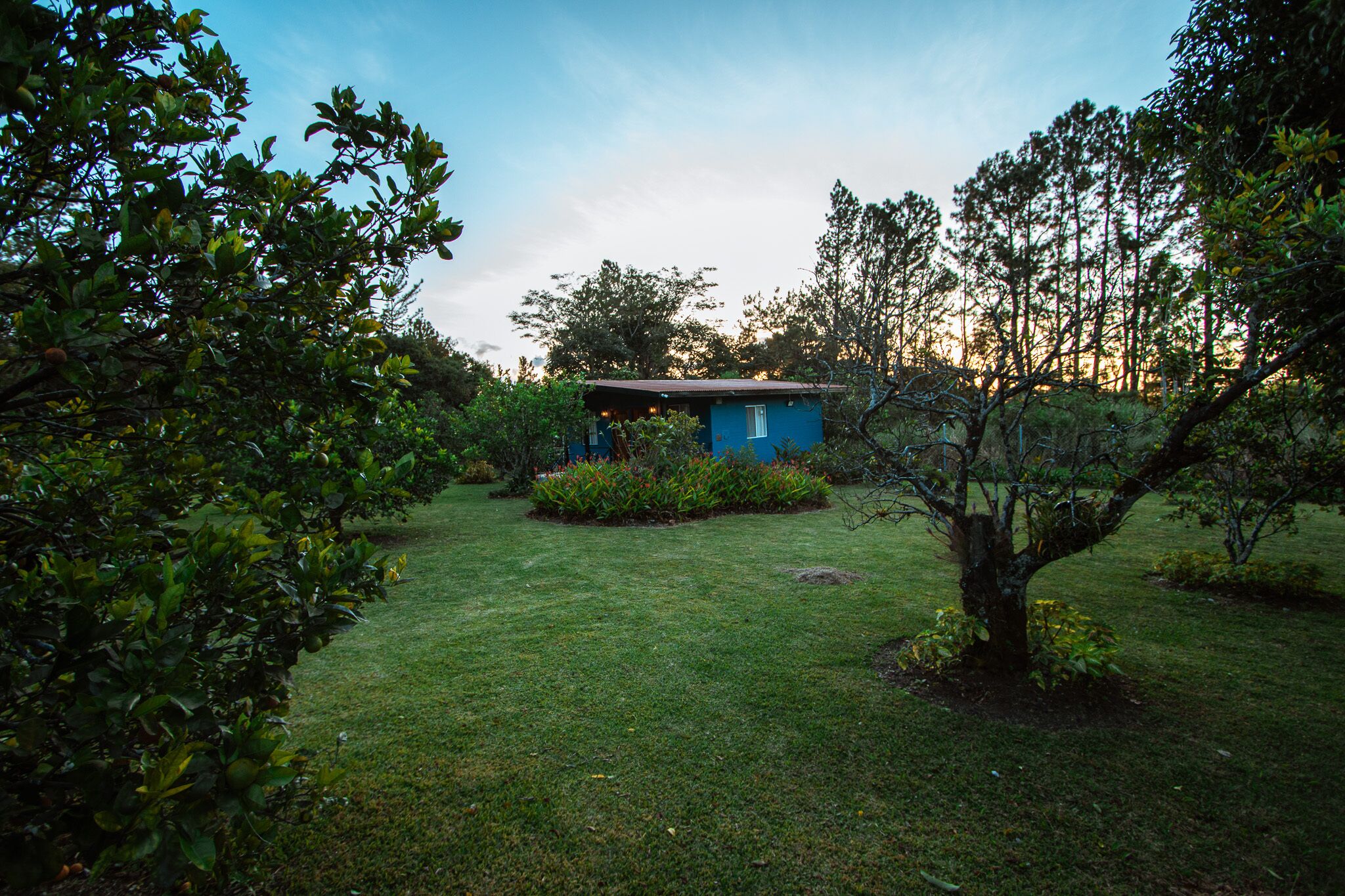 A small blue house surrounded by a well-maintained garden with various plants and trees.