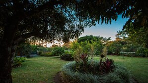 Un jardín con diversas plantas y árboles, un césped y un gran árbol en primer plano.