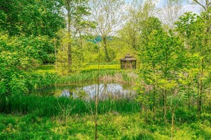 المنطقة المحيطة بالمنشأة