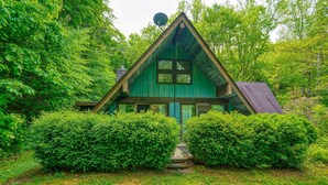 A small, green cabin with a steep roof, surrounded by dense greenery and a well-maintained lawn. - Mercer House in Hocking Hills (Sugar Grove)