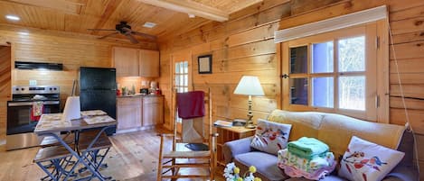 TV, fireplace, DVD player, books