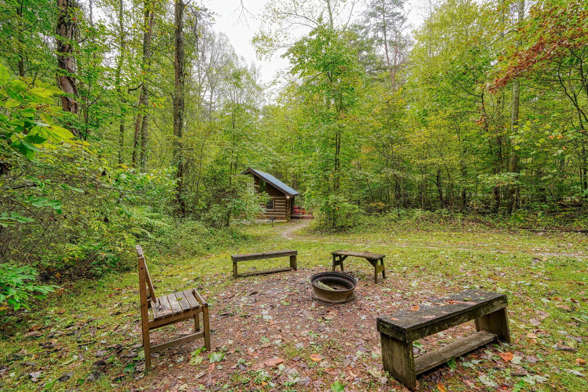 Una cabaña rústica rodeada de un bosque denso, con una mesa de picnic y bancos al frente.
