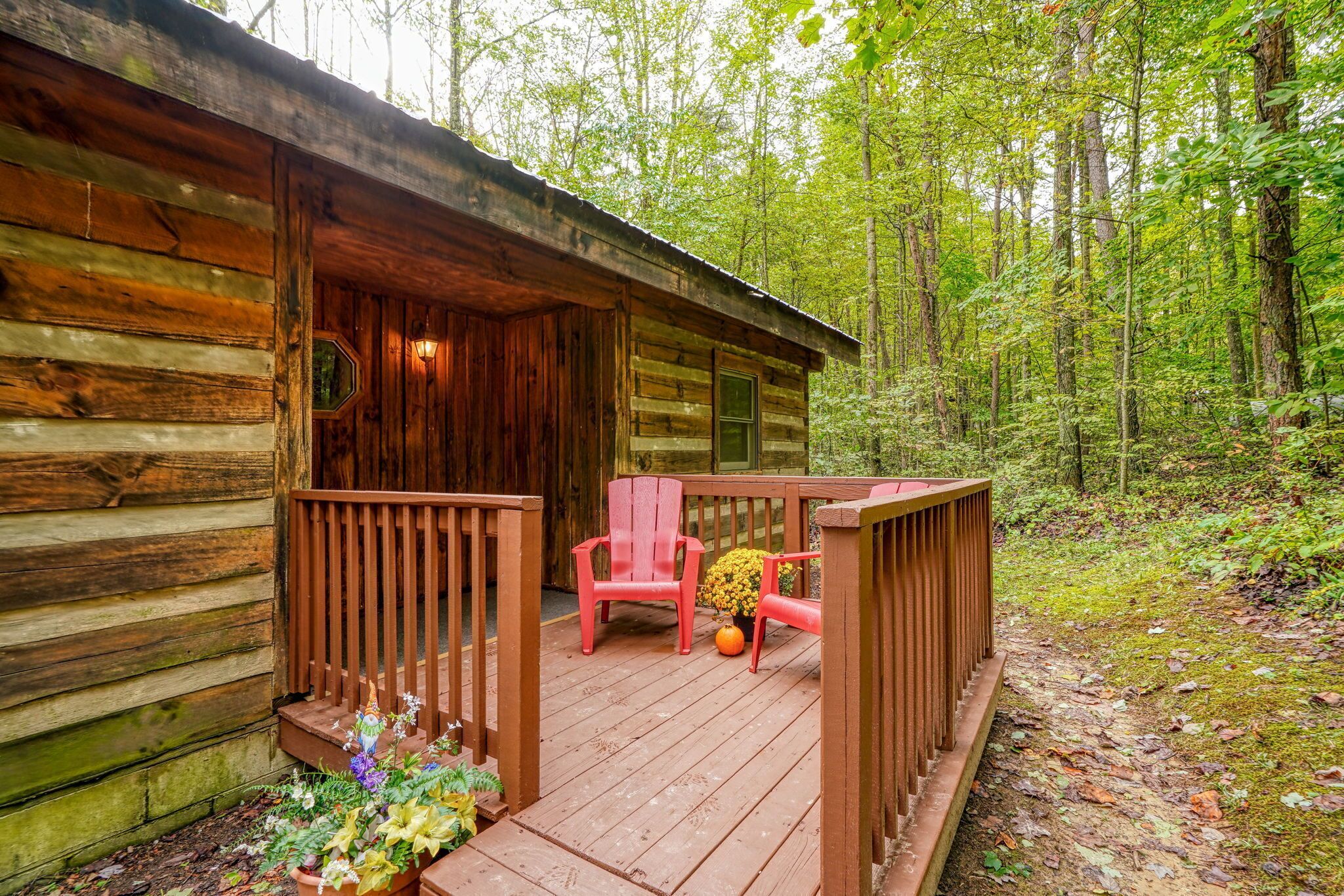 A wooden cabin with a porch, two red chairs, and a potted plant.