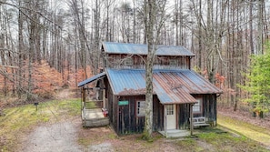 A rustic cabin with a metal roof, surrounded by a forest.