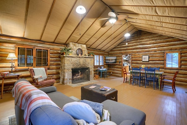 Fireplace, DVD player, books, video library