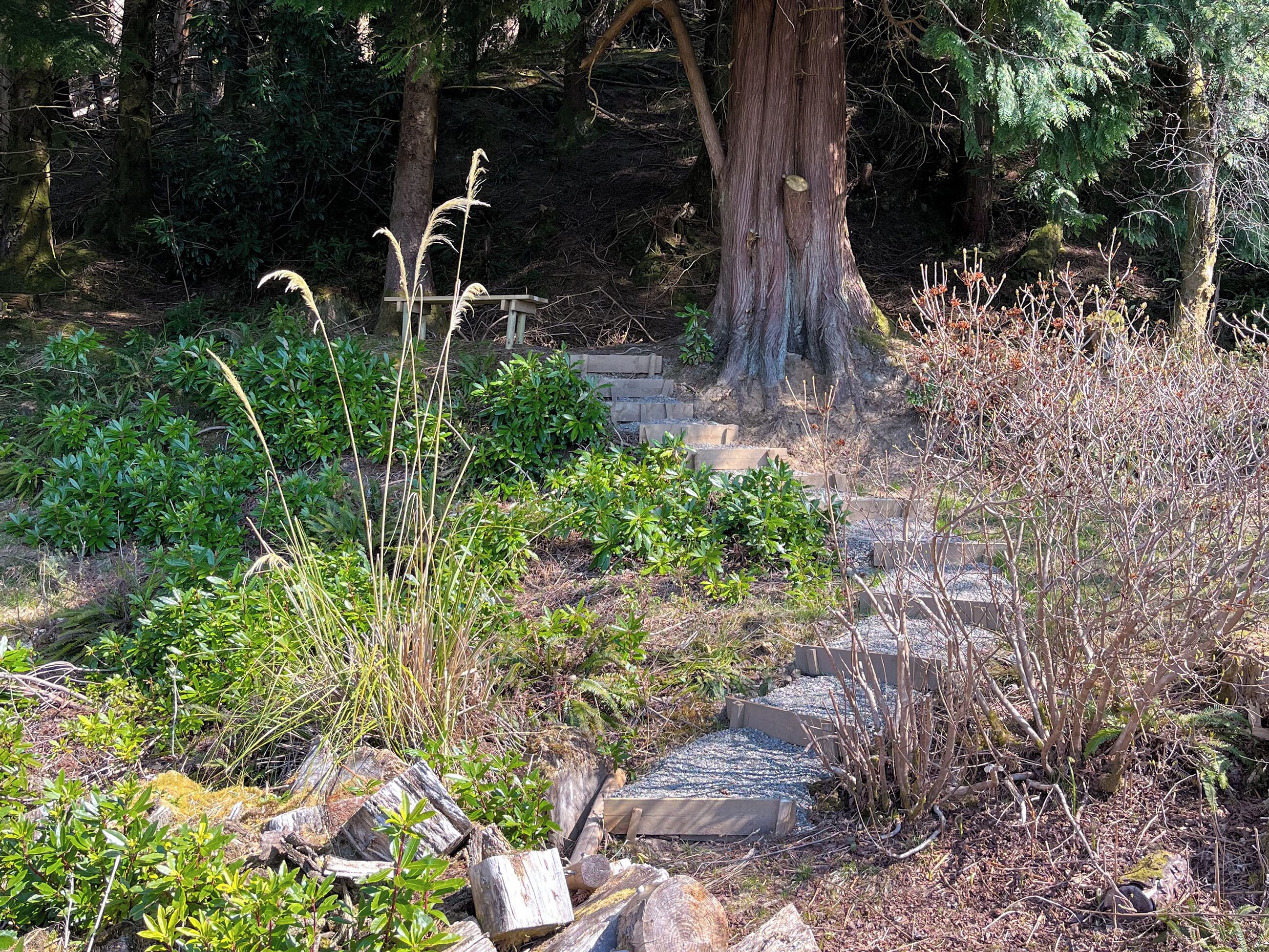 Jardines del alojamiento