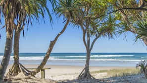 A beach with palm trees, a bench, and the ocean. - Whalesong - by Lifestyle. Brunswick Heads (NEW BRIGHTON)