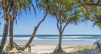 WHALESONG, TOP NOTCH