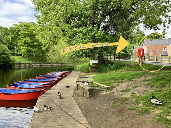 A riverside property with a dock, boats, and ducks.