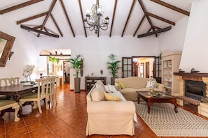 Televisión, chimenea y tenis de mesa 