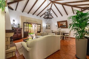 TV, fireplace, table tennis