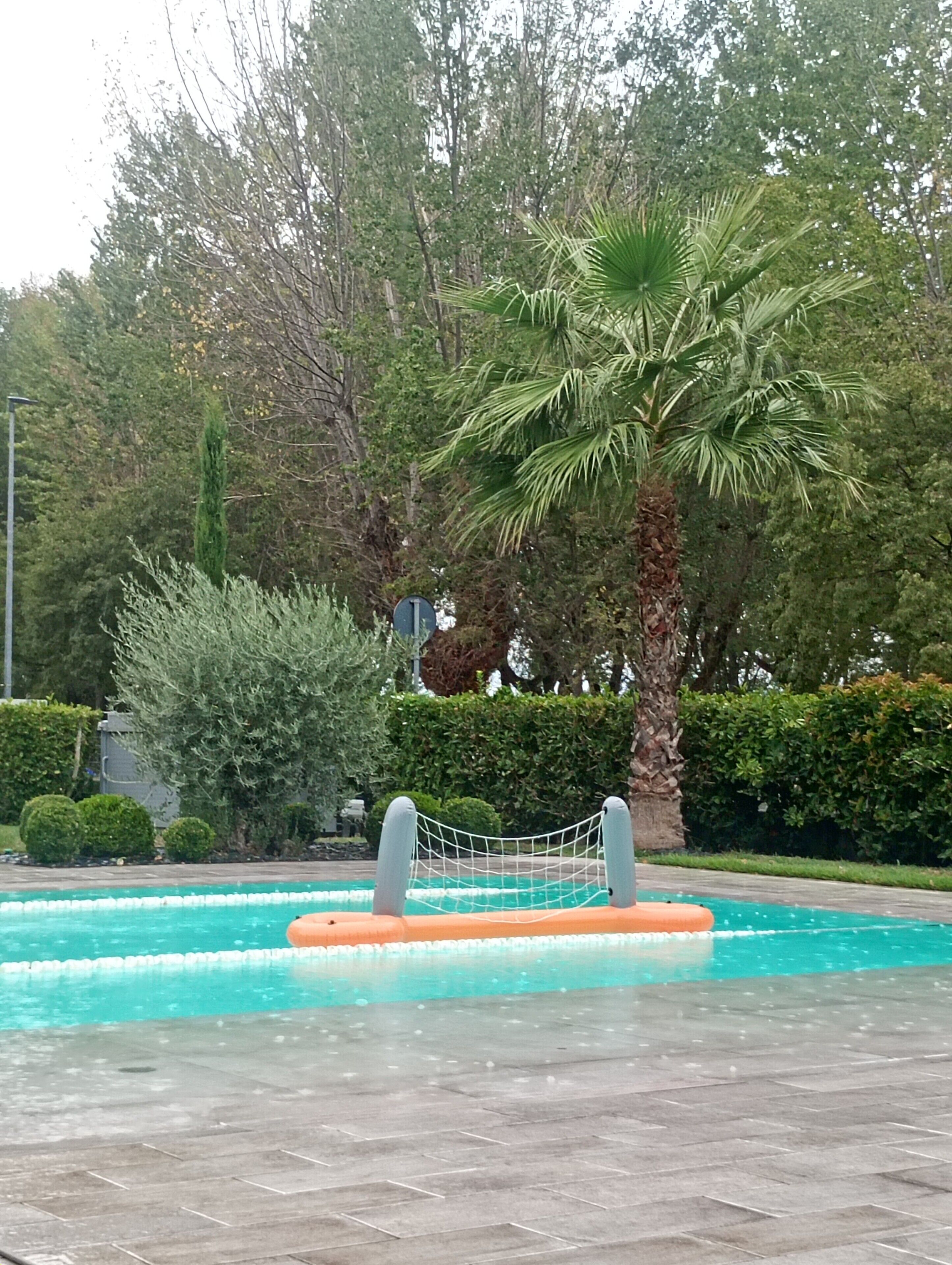 Ein Swimmingpool mit einer Palme und einer Seilsperre.
