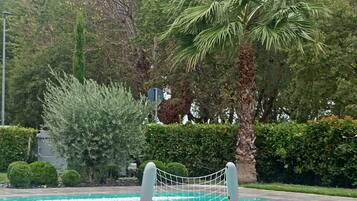 Ein Swimmingpool mit einer Palme und einer Seilsperre.