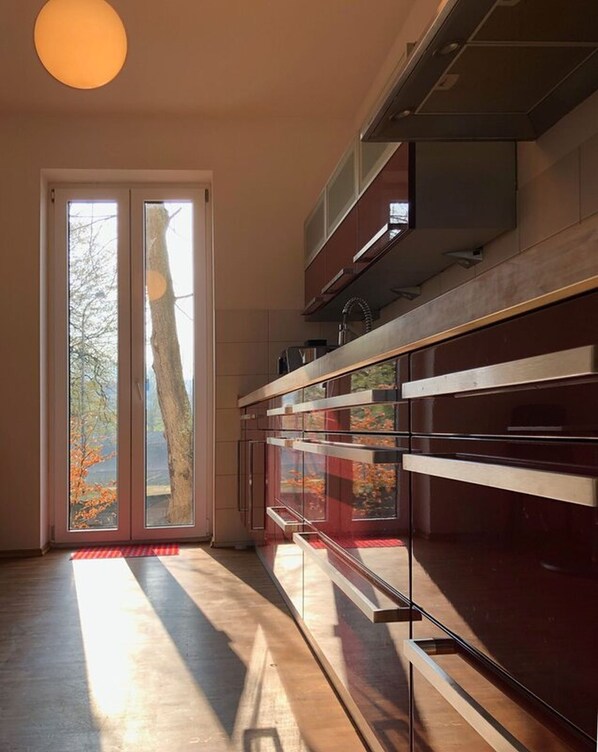 Kühlschrank, Ofen, Herdplatte, Geschirrspüler