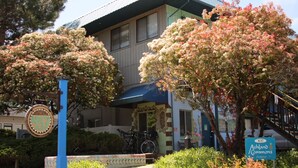 星評価なしの画像、4 / 41、ボタン