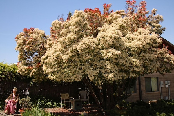 Façade de lâhĂ©bergement