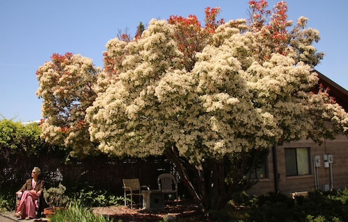 Ashland Commons Hostel