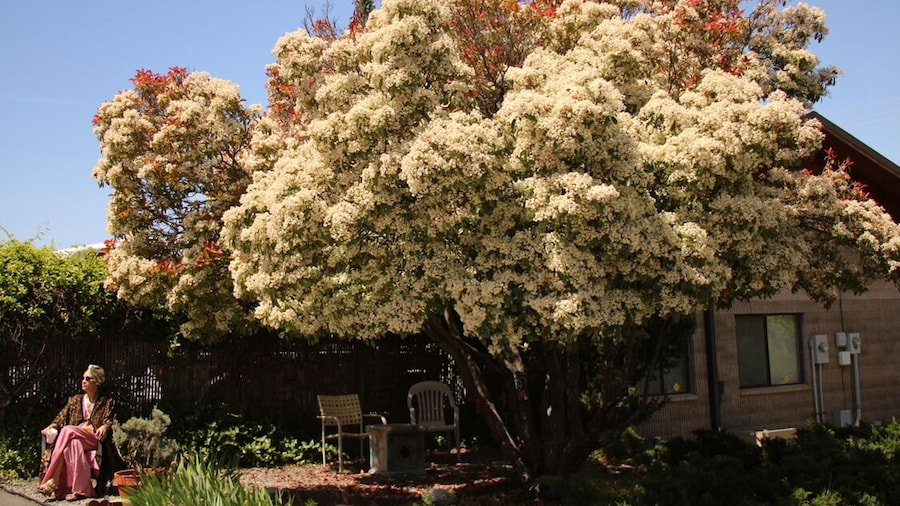 Ashland Commons Hostel