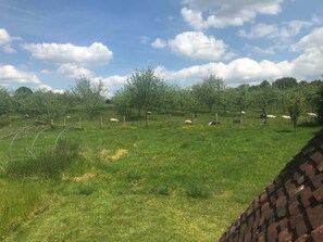 Property grounds - Longère Typique au Cœur du Perche (Perche-en-Nocé)