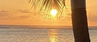 Peaceful Hawaii Paradise three minutes from Beautiful Beach 