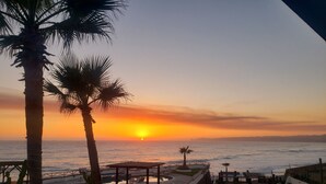 A sunset view from a terrace with palm trees, a pool, and a beach in the background. - Olas ocean suite, pool, jacuzzi, bbq & terrace..Pet friendly, gated & secure (Primo Tapia)