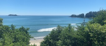 White Haus - Cozy rainforest retreat 5 minutes walk to Big Beach and trails. 