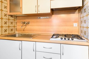 Fridge, microwave, stovetop, cookware/dishes/utensils
