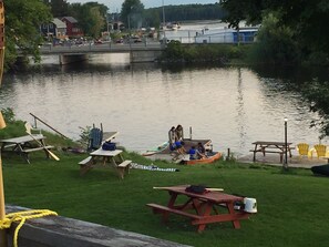 Property grounds - BALSAM LAKE- Cottage 5Bdr -In Coboconk- Kawartha Lakes (Kawartha Lakes)