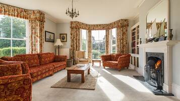 Smart TV, fireplace, books