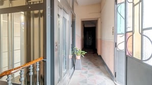 A hallway with a glass door, a potted plant, and a staircase with a wooden handrail.