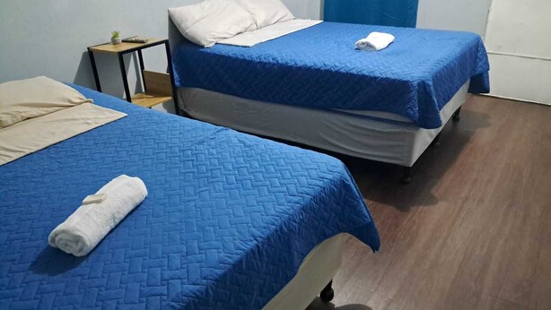 Dos camas individuales con colchas azules y almohadas blancas, una mesita con una planta y piso de madera.