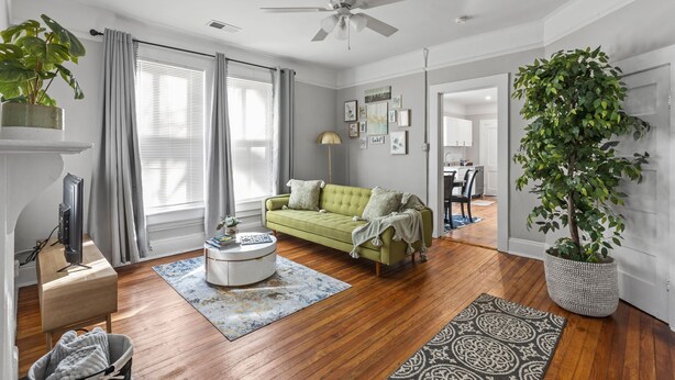A living room with a green sofa, a coffee table, a ceiling fan, and a large potted plant. - 1 Bed Luxury Downtown Columbia (Elmwood Park) (Columbia)
