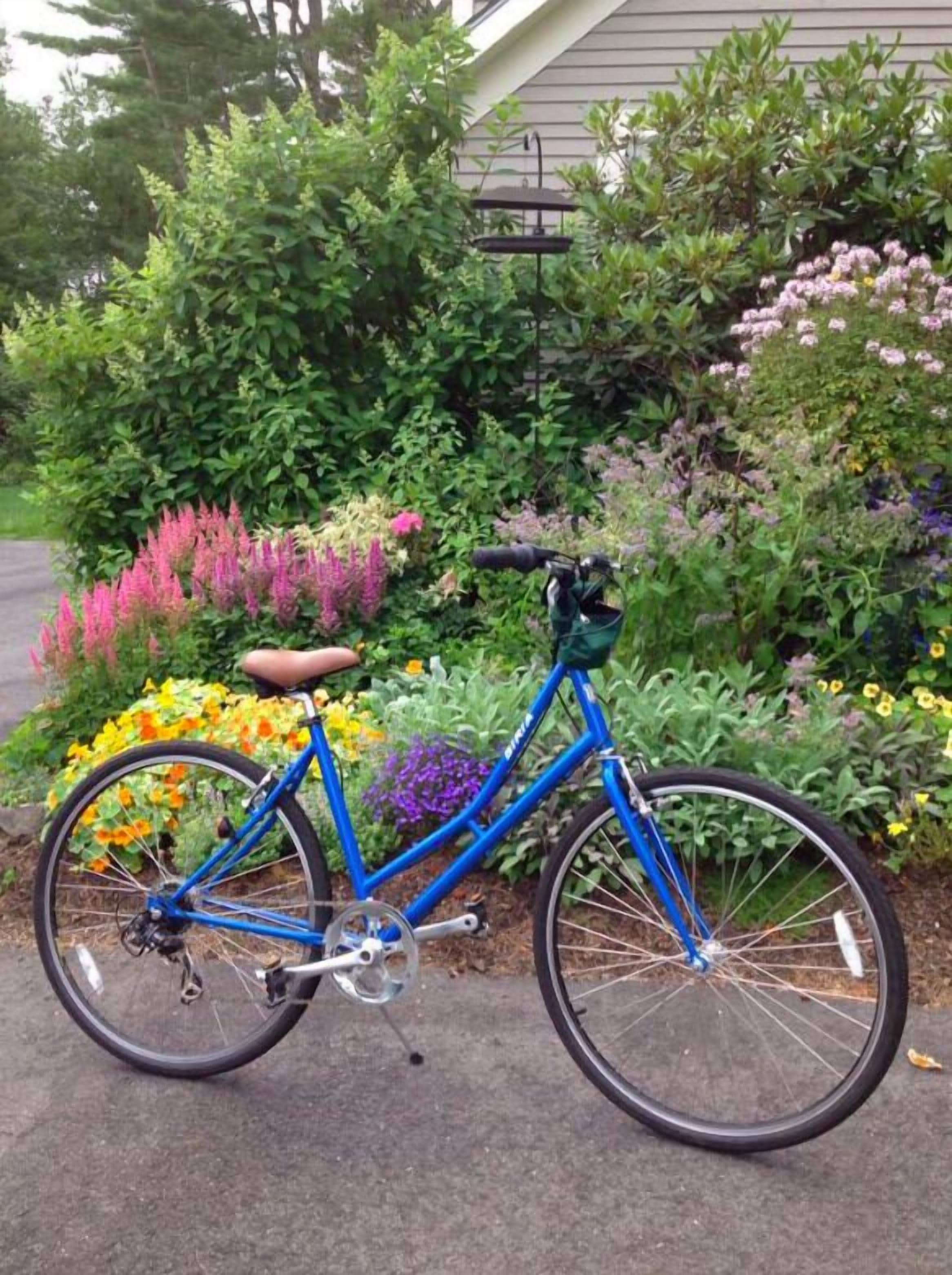 A blue bicycle parked in front of a garden with various flowers and plants.
