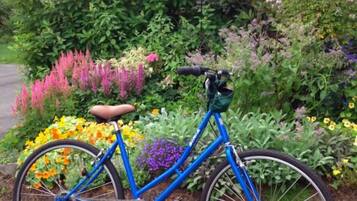 A blue bicycle parked in front of a garden with various flowers and plants.