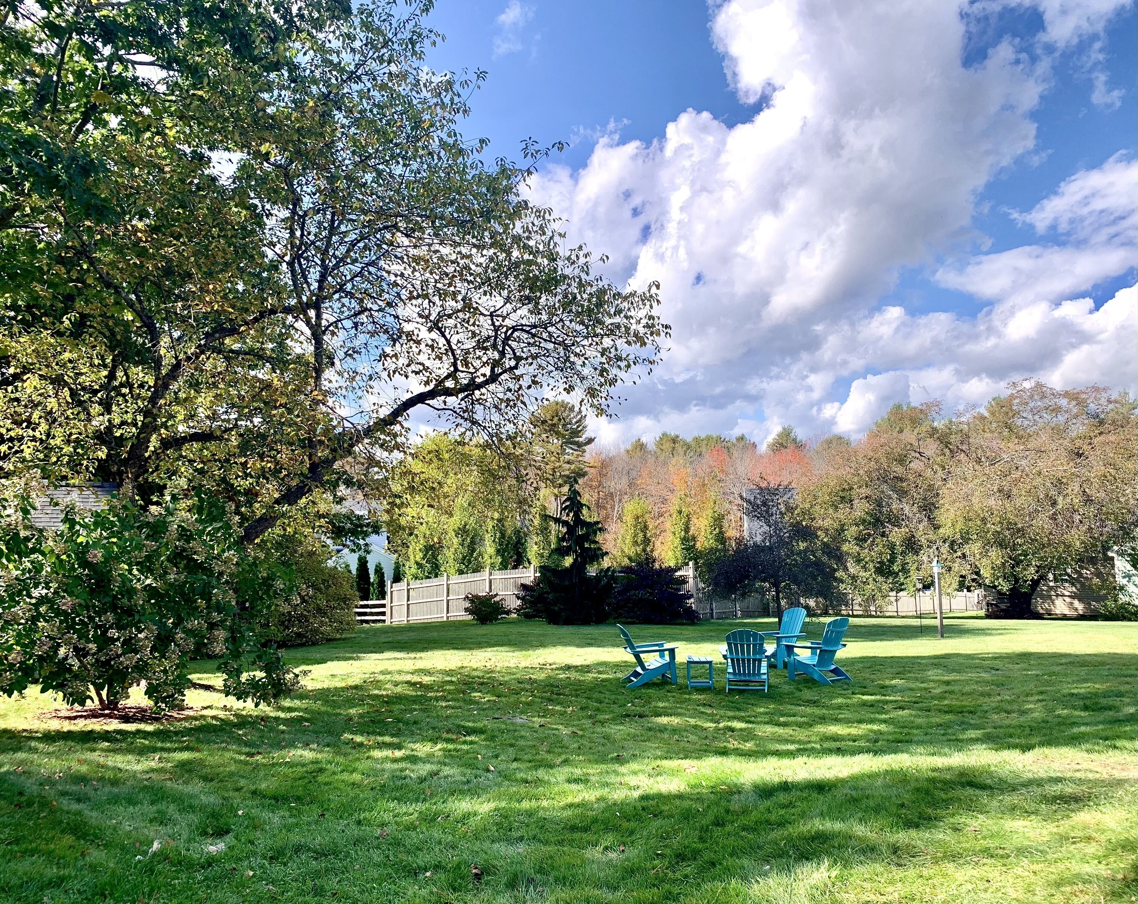 Un espace extérieur verdoyant, avec une clôture en bois, un arbre et une rangée de chaises Adirondack bleues.