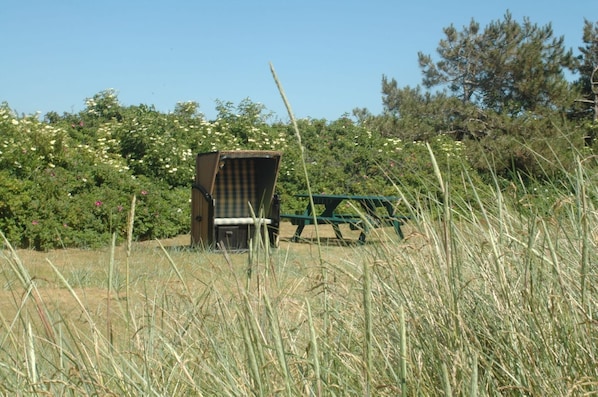 A rustic wooden structure with a bench, surrounded by tall grass and flowering bushes.