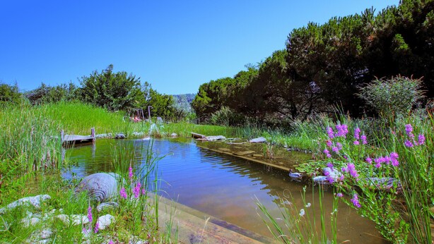 A serene outdoor setting with a wooden bridge over a calm water body, surrounded by lush greenery and vibrant flowers. - Lovely home in Aubenas (Aubenas)