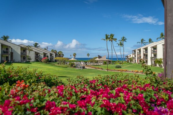 Property grounds - Conveniently located two bedroom two bath HK319 (Kihei)