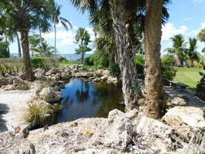 Property grounds - Waters Edge 202 in Fort Myers (Fort Myers)